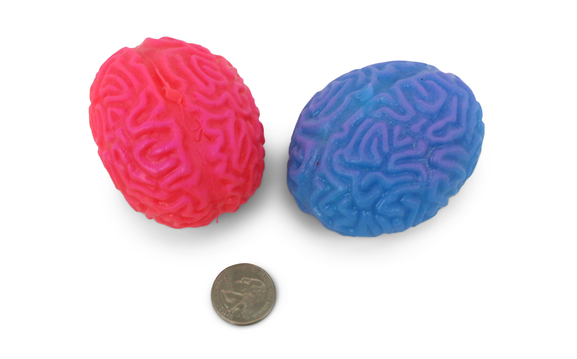 Squishy brain best sale