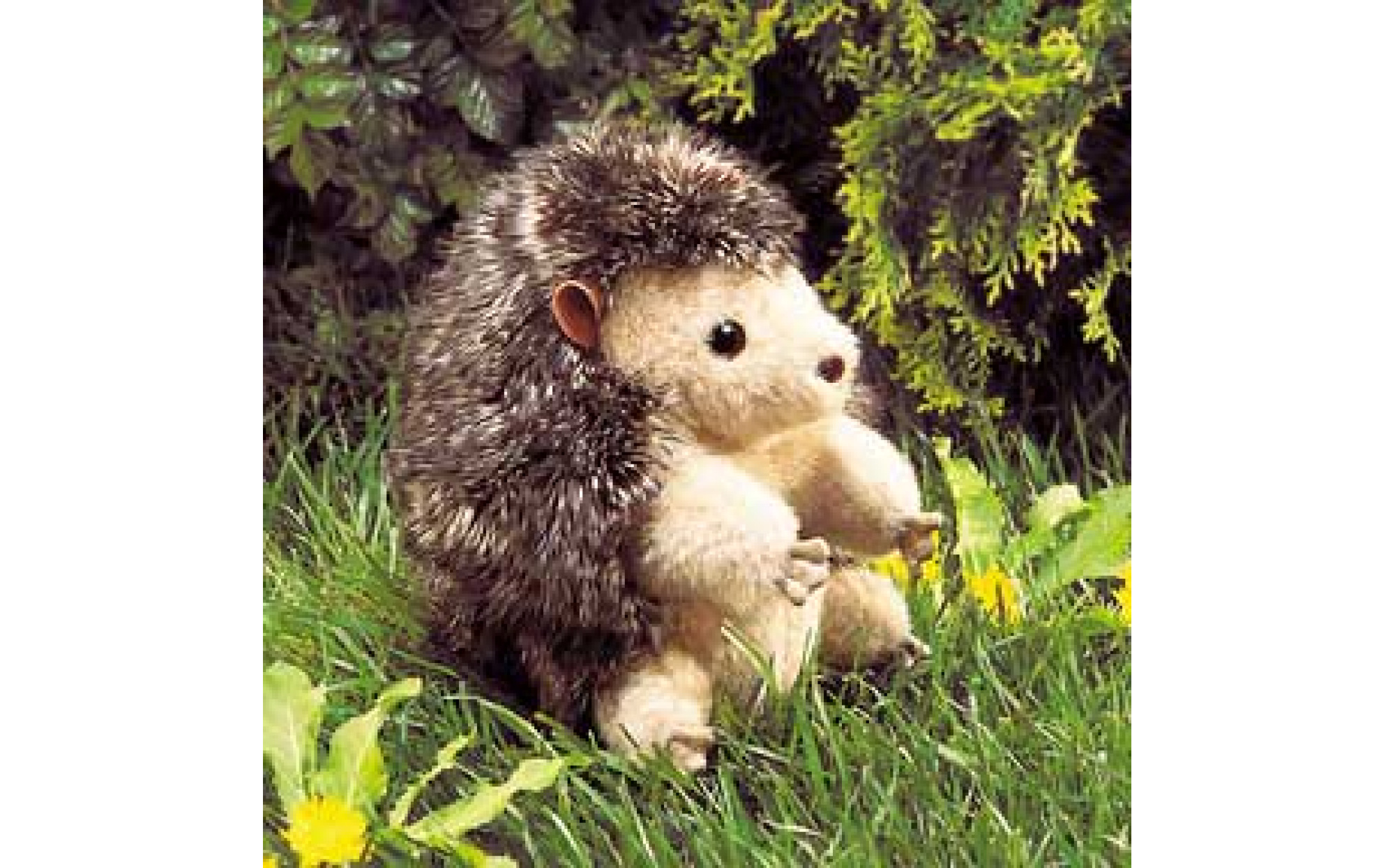 Hedgehog best sale hand puppet