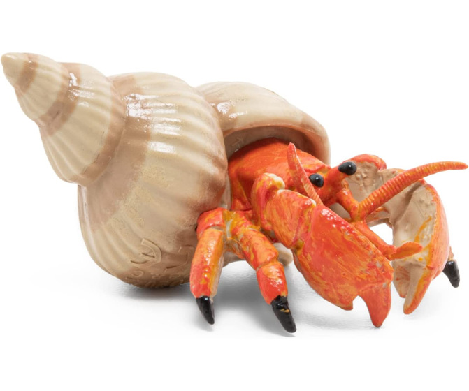 Hermit Crab – Sand Tray Therapy